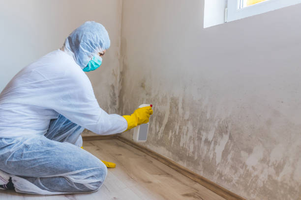 Licensed Mold Testing service in Burlington, NC - WQB Mold Removal