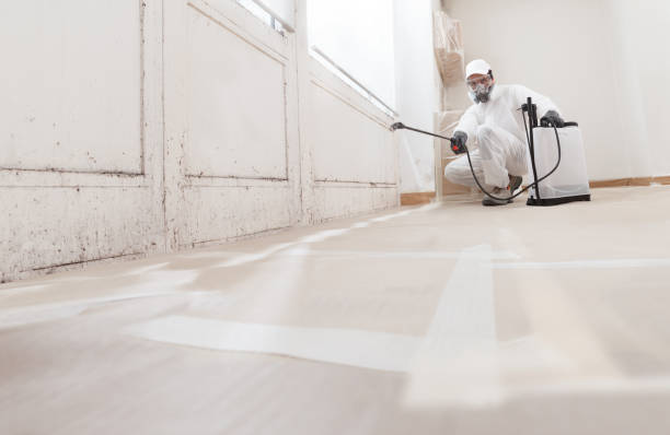 24/7 Emergency Mold Testing experts in Burlington, NC