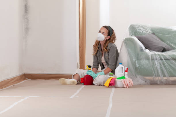 Reliable Mold Testing contractor in Burlington, NC by WQB Mold Removal