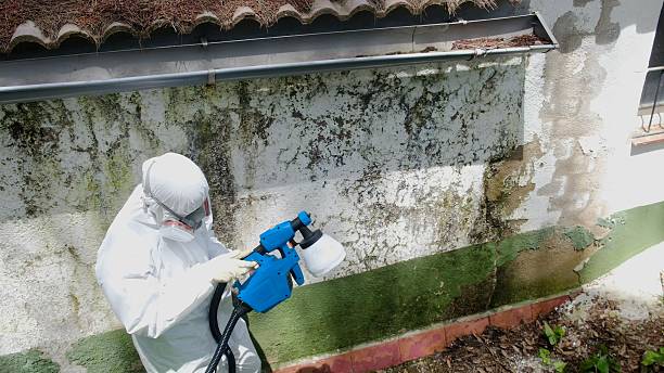 Top rated local Mold Testing specialists in Burlington, NC